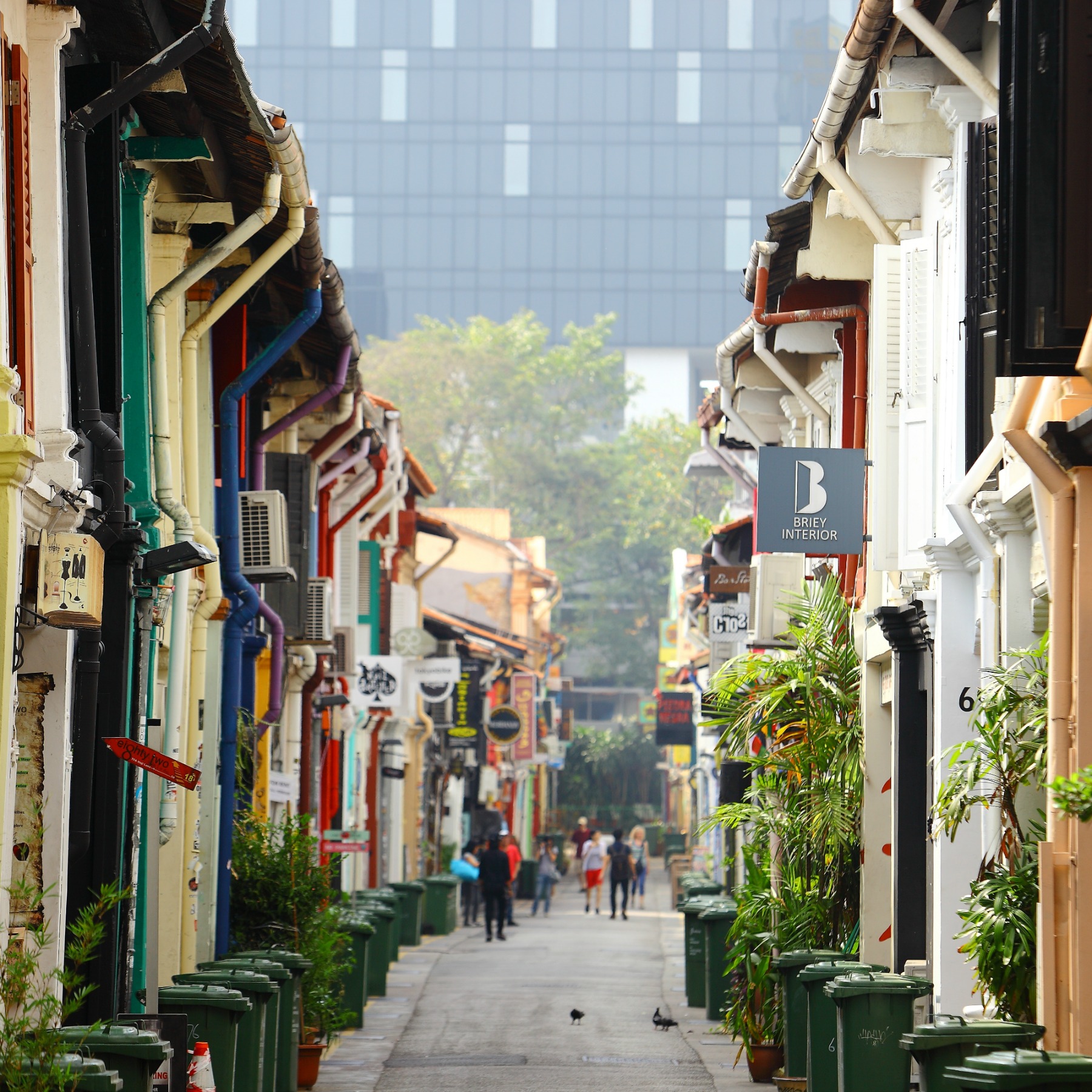 A view of Haji Lane with the colourful shophouses on either side of the street